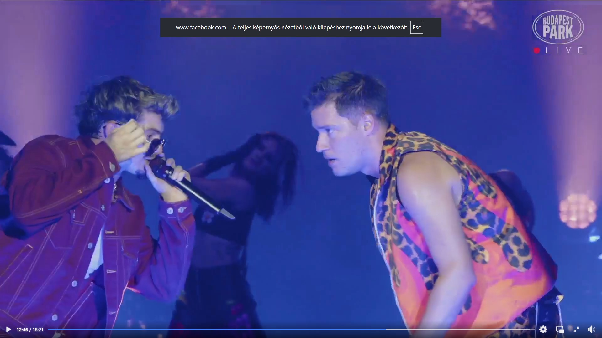 Valkusz Milan1 - Story