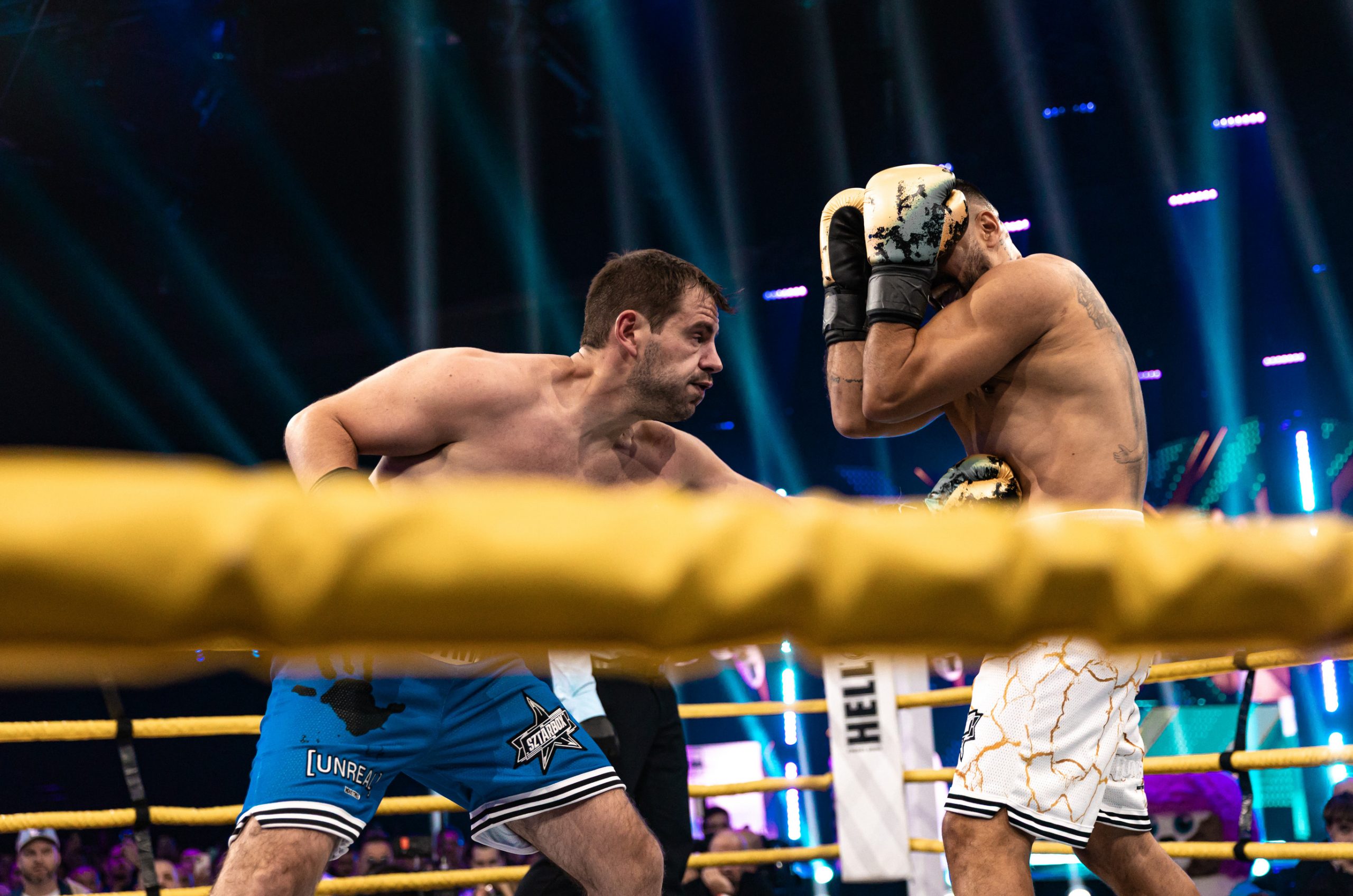 DORI4853 1 - Story - Story