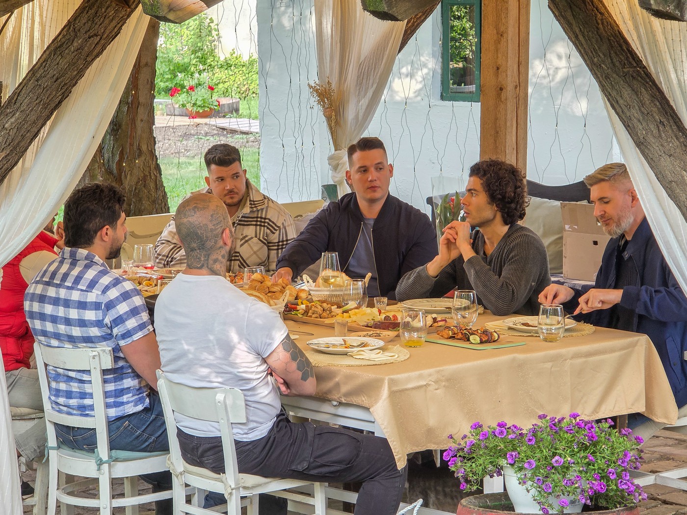 Sperling Zsuzsanna Cecily Zsuzsi gazda jelöltjei - Story