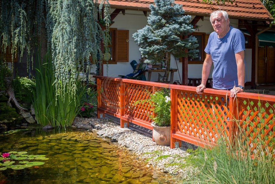 Havas Henrik - Story