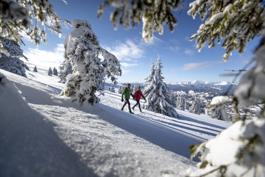 Spazieren gehen auf der Frauenalpe bei Murau - Story