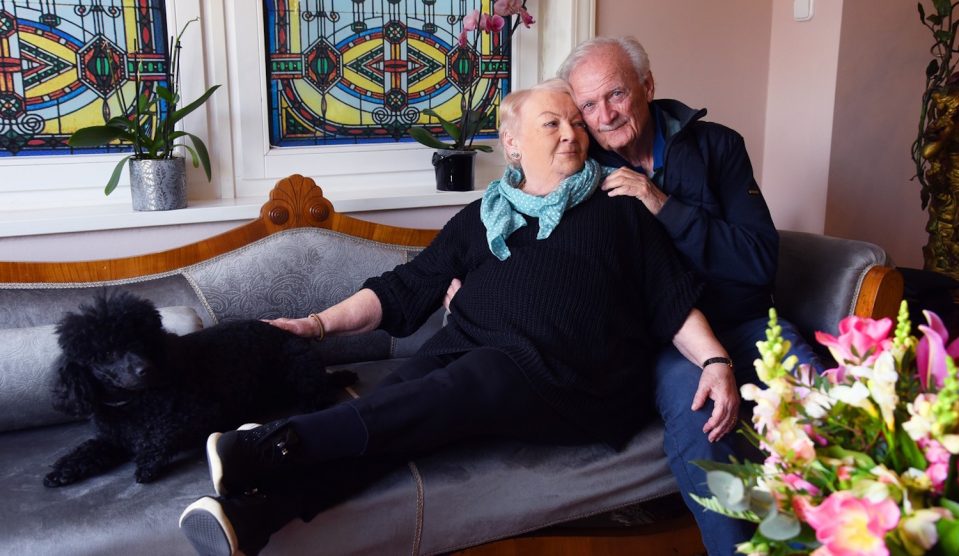 balazs peter - Story