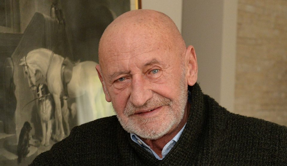 revizckygabor - Story