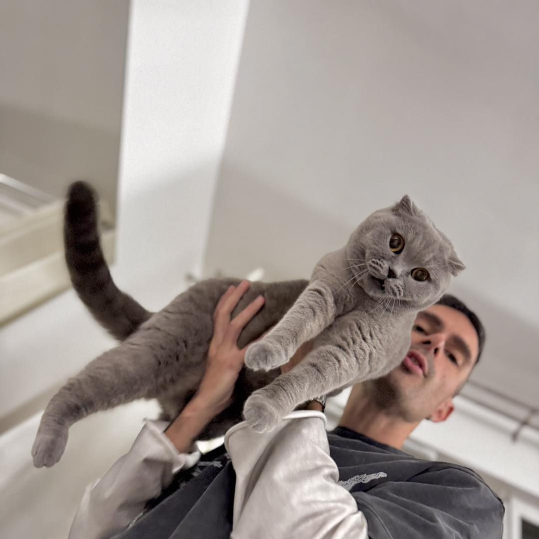 ByeAlex cica - Story