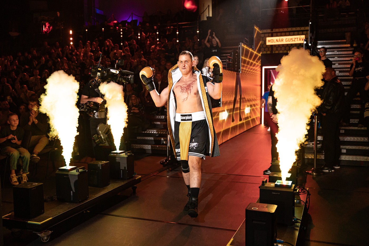 Molnár Gusztáv - Story