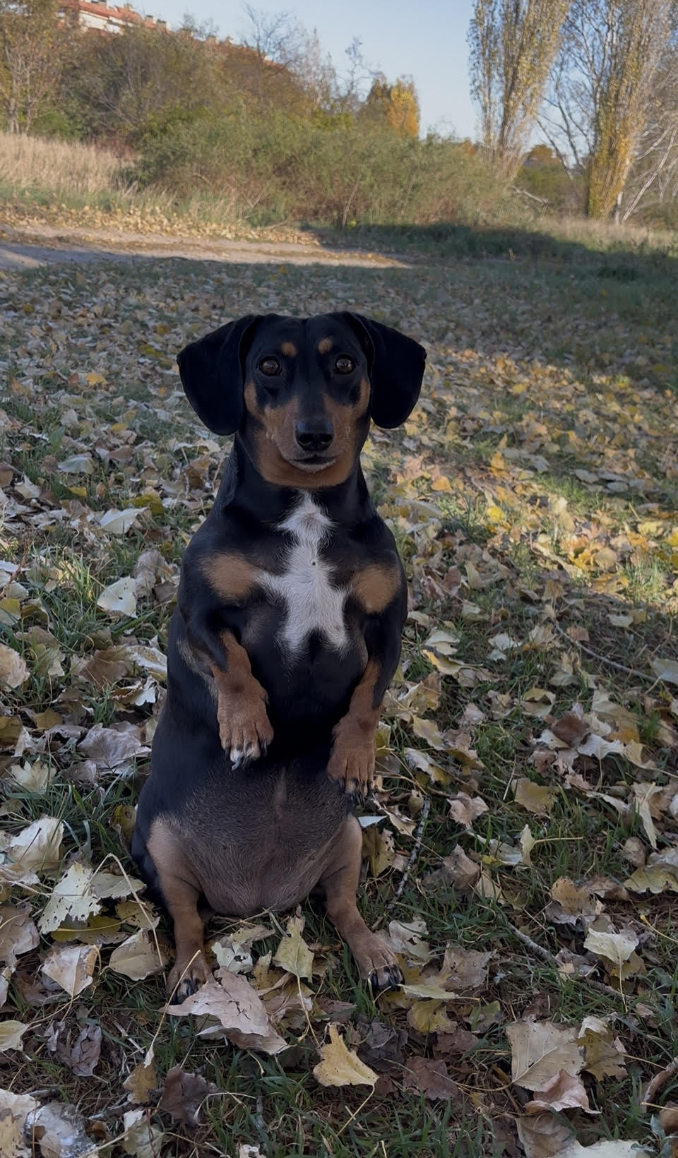 dudastacsija - Story