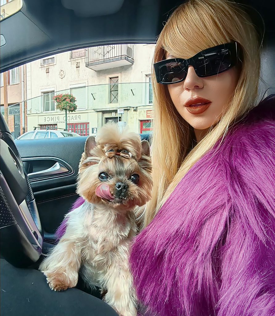 tolvai_reni_kiskutya - Story