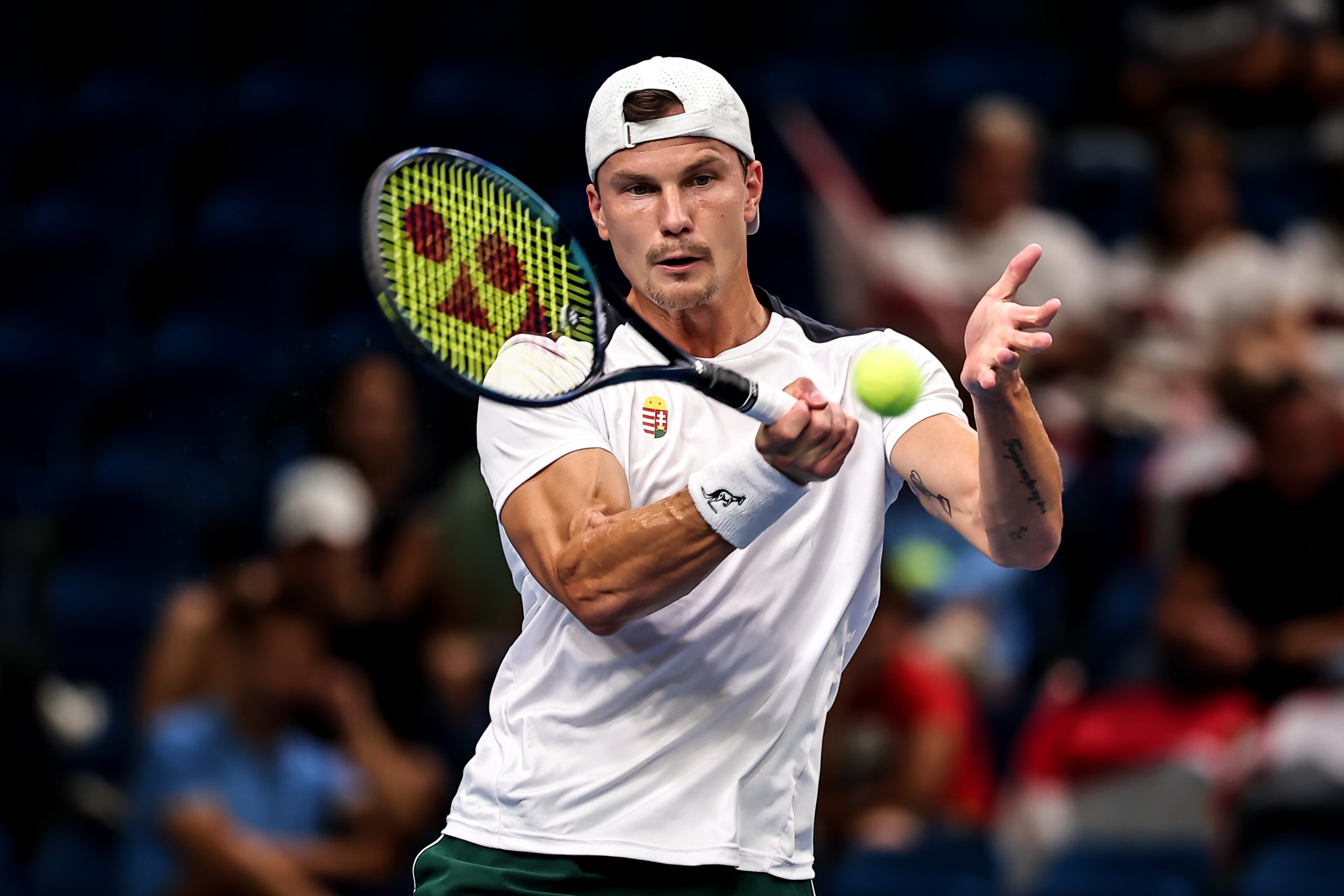 Fucsovics - Story - Story