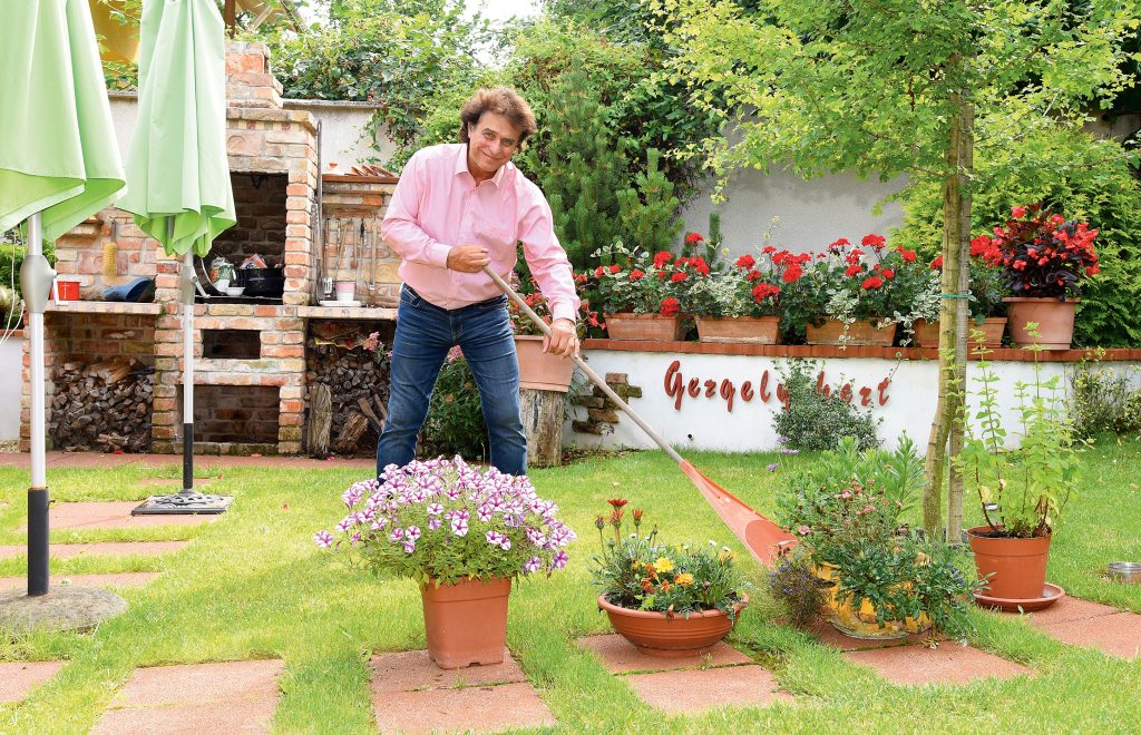 gergely robert 3 - Story