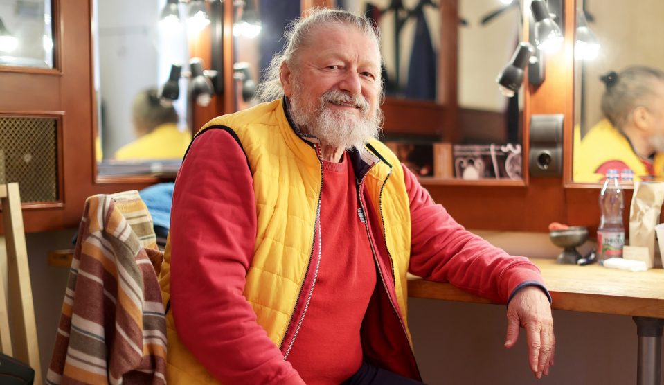 hegedus d geza - Story