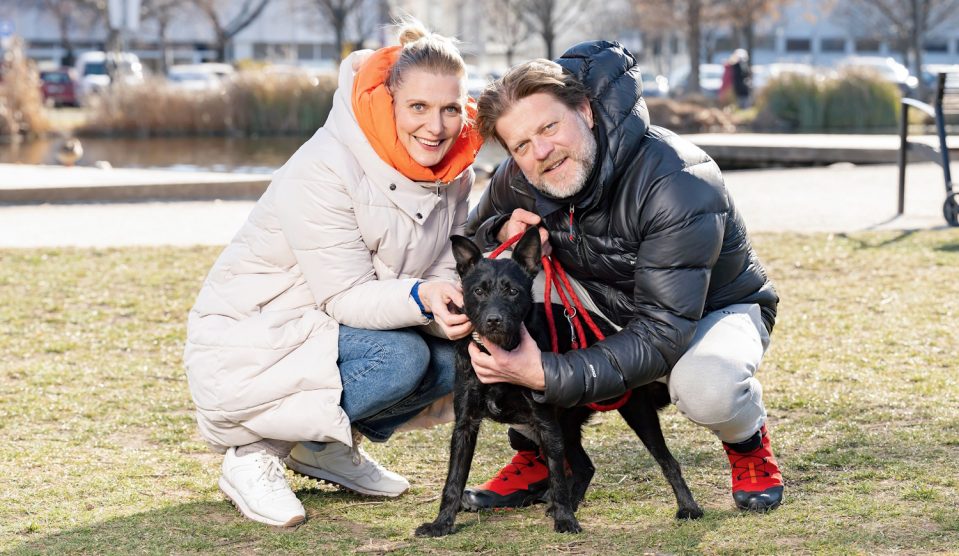 Rezes Judit és Szabó Győző - Story