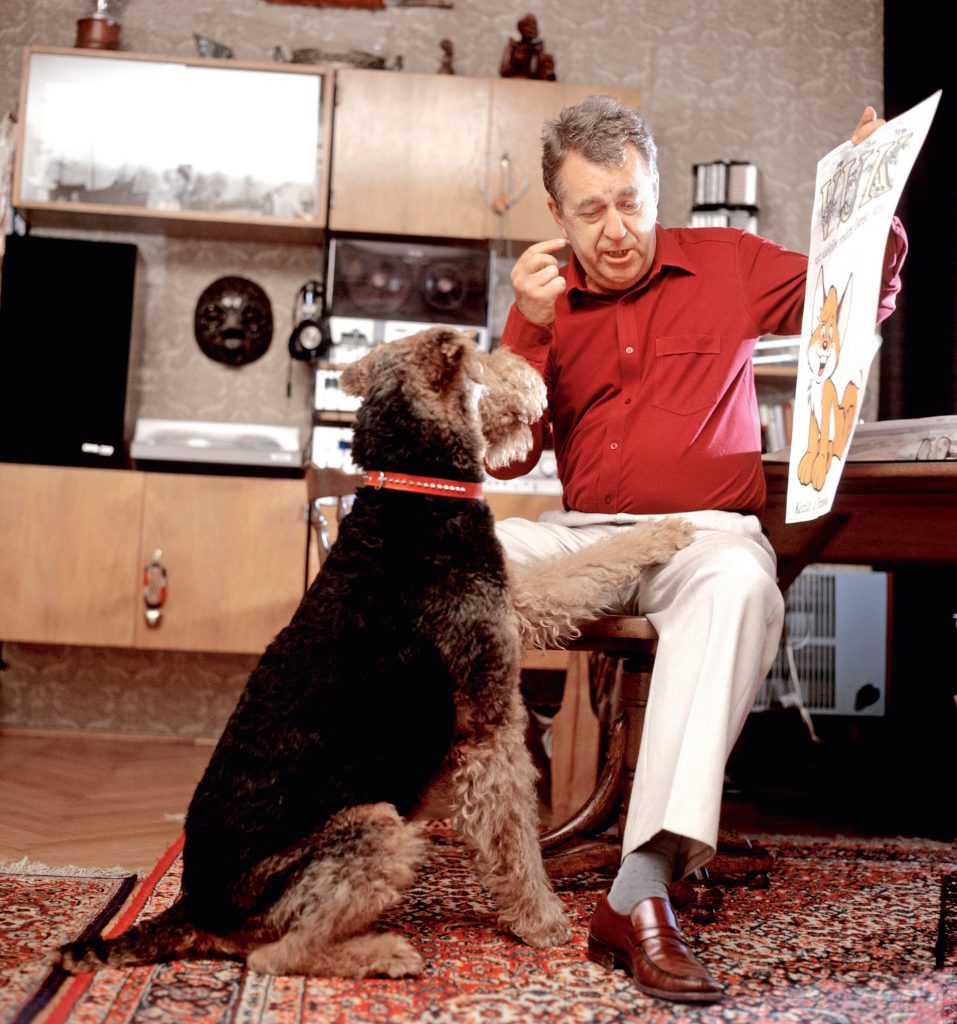 Dargay Attila - Story