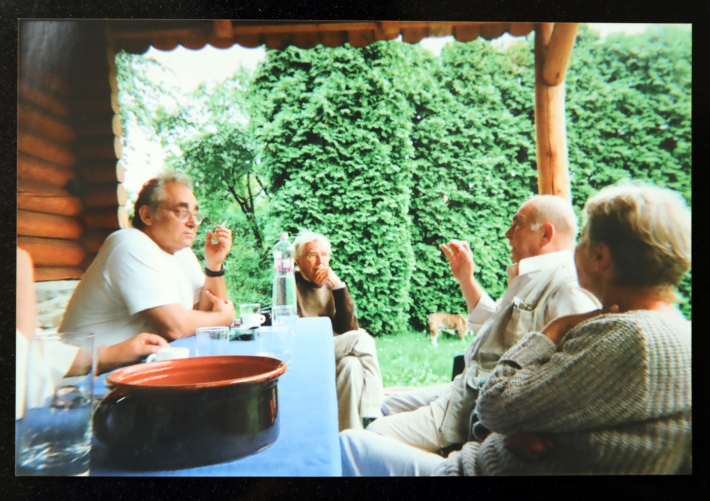 Törőcsik Mari - Story - Story